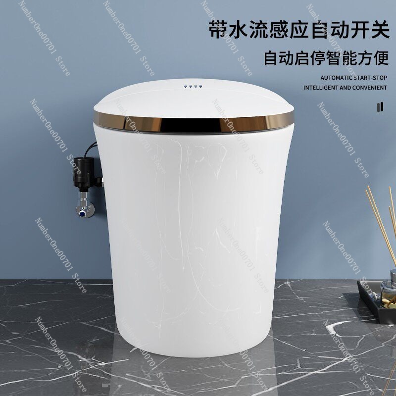 Inteligentna pompa wspomagając – Home Bathroom Pressure Pump recenzja i cena