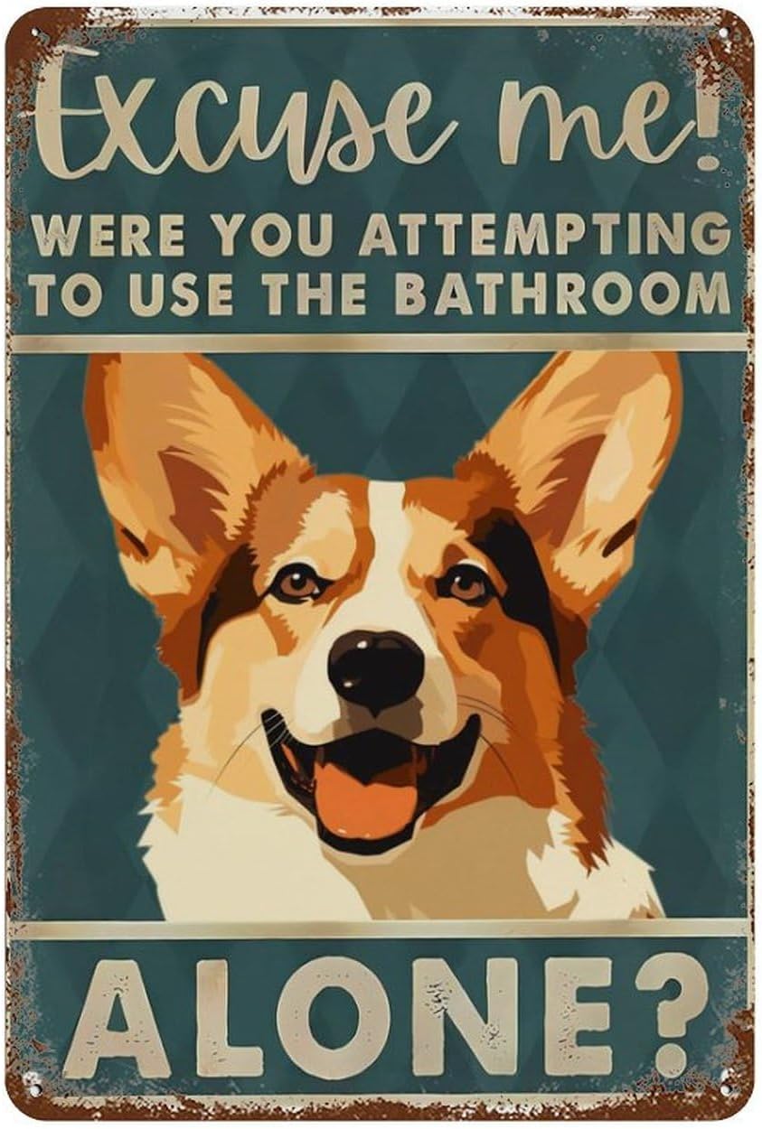 Tabliczki z cyny Retro Corgi P – Home Alone Bathroom recenzja i cena